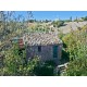 Properties for Sale_Farmhouses to restore_Ruin and an agricultural accessory for sale in Le Marche_24